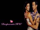 Wallpapers - Desperate Housewives