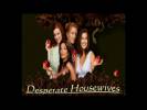 Wallpapers - Desperate Housewives