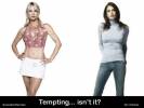 Wallpapers - Desperate Housewives