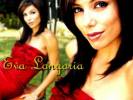 Wallpapers - Desperate Housewives