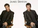 Wallpapers - Desperate Housewives